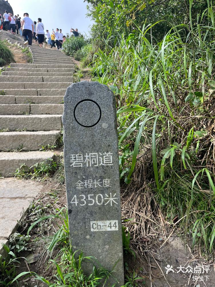 梧桐山盘山公路图片