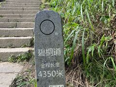 -梧桐山风景名胜区