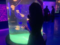 -左海海底世界