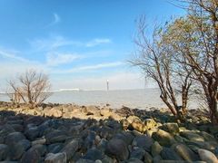 -上海吴淞炮台湾国家湿地公园