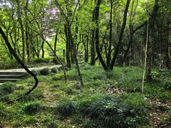 -千岛湖东南湖区