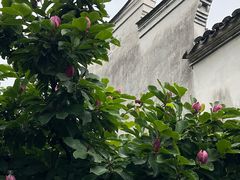 -前童古镇