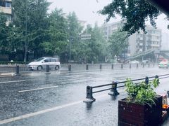 -王氏现捞(宽窄巷子2.0直营店)