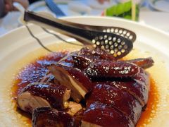 -三强鸽子(中原路店)