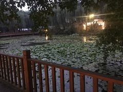 -巴山一绝烤全羊(三圣乡刘家花园店)