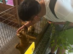 -喜茶(上海北外滩来福士店)