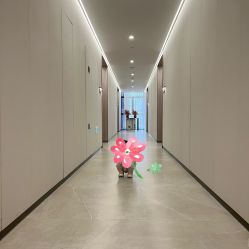 -宝生月子中心·私家园林式(龙华观澜店)