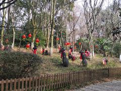 -天目湖山水园