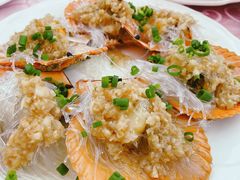 蒜蓉蒸扇贝-龙溪海鲜酒家(溪涌店)