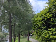 -才村湿地公园