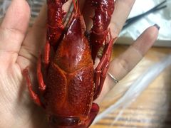 -龙虾奇迹(大华三路店)