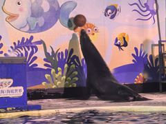 -太平洋海底世界