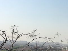 -府君山公园