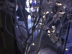 -中影星美国际影城(韩森寨店)