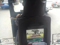 -清迈夜间动物园