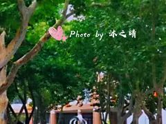 -山东省青岛第二中学(江西路分校)