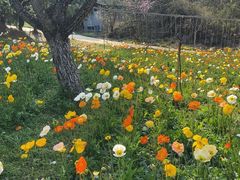 -名花谷生态庄园