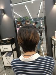点击看大图 -藤野造型