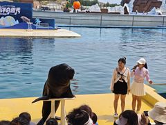 -秦皇岛乐岛海洋王国