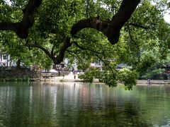 -鹿亭中村