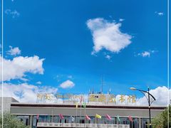 -西藏自治区图书馆