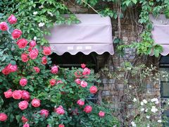 -元大都城垣遗址公园