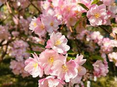 -大兴滨河森林公园