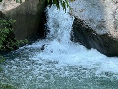 -广州白江湖森林公园
