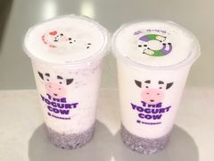 生椰酸奶紫米露-一只酸奶牛(来福士店)