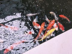 -天津波士信达奔驰4S店(卫津南路店)