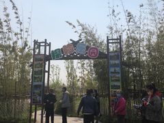 -上海长兴岛郊野公园