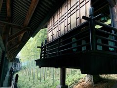 -大唐贡茶院