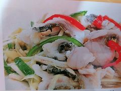 -东鸽皇(奥园·中环广场店)