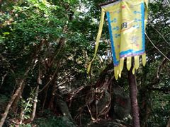 -海南铜鼓岭景区