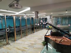 -圣典成人钢琴俱乐部(国贸旗舰校区)