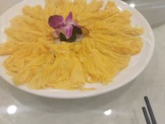 黄埔炒蛋-姚林轩