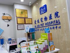 -爱佳宠物中心医院24H·CT·骨外科·猫专科(瑶海万达店)