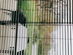 -木守西溪溪隐餐厅