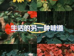 -郑州植物园
