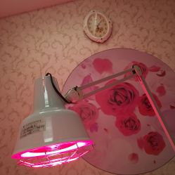 -佐登妮丝美容SPA生活馆