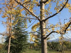 -洨河生态公园