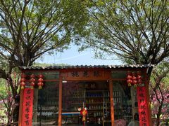 -李小龙乐园(顺德均安店)