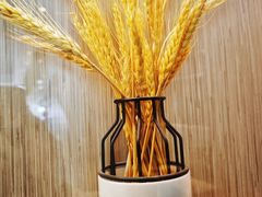 -宋益驴蹄子面肉夹馍(辛家庙店)