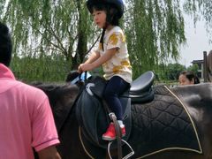 -月河湾马术俱乐部(朝阳店)