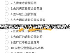-大雁塔北广场音乐喷泉