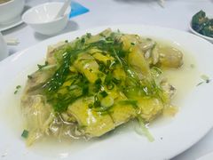 -新陶陶酒家