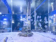 -欢乐海岸海洋奇梦馆