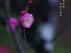 -尚贤河湿地
