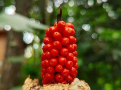 -七仙岭温泉国家森林公园