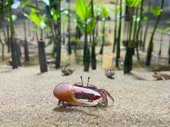-欢乐海岸海洋奇梦馆